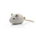 Rato de pelúcia squeaky para gatos em fundo branco
